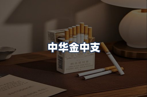 中华金中支